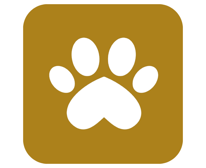 Yorkshire Puddin Pups