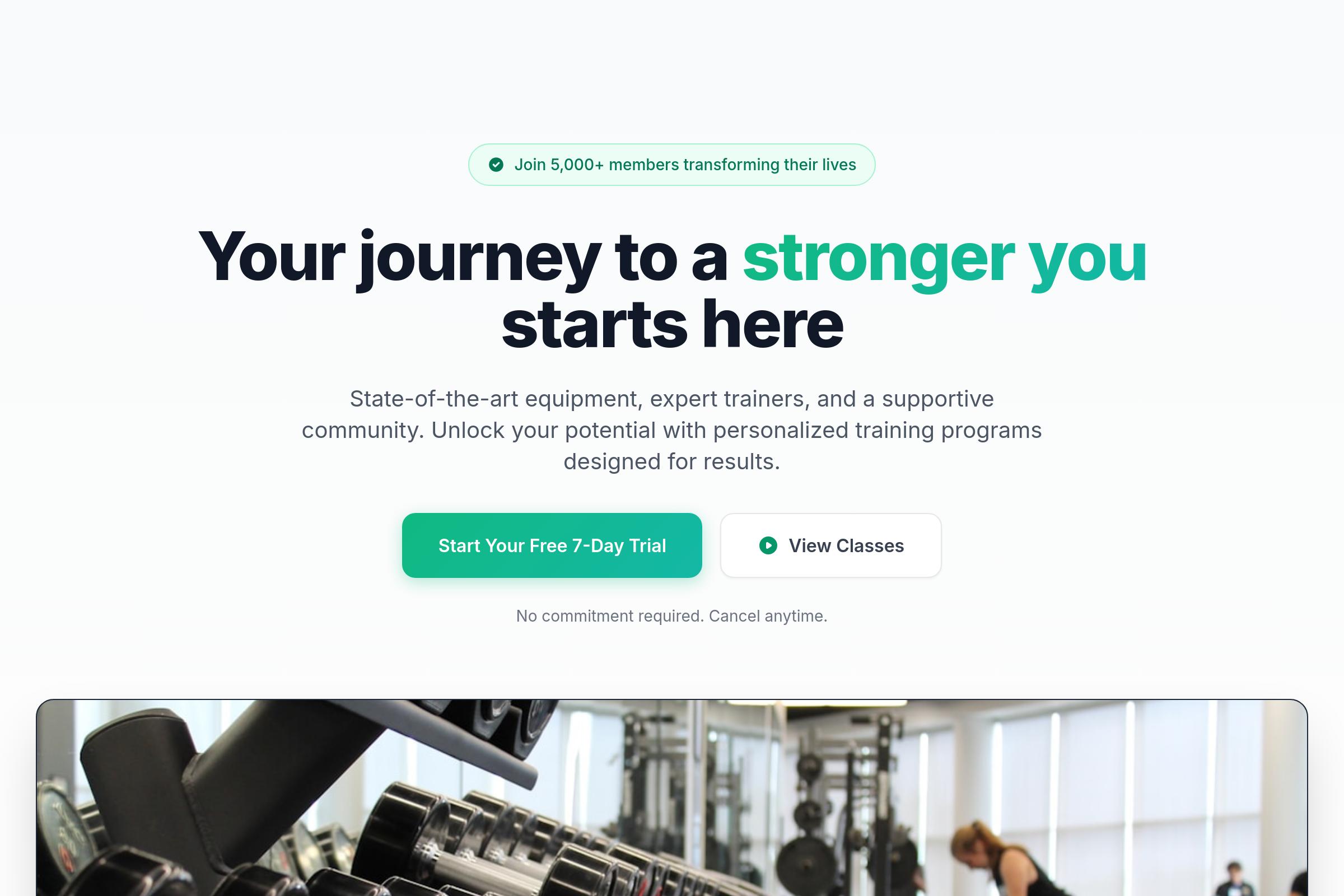 Fitpulse Template