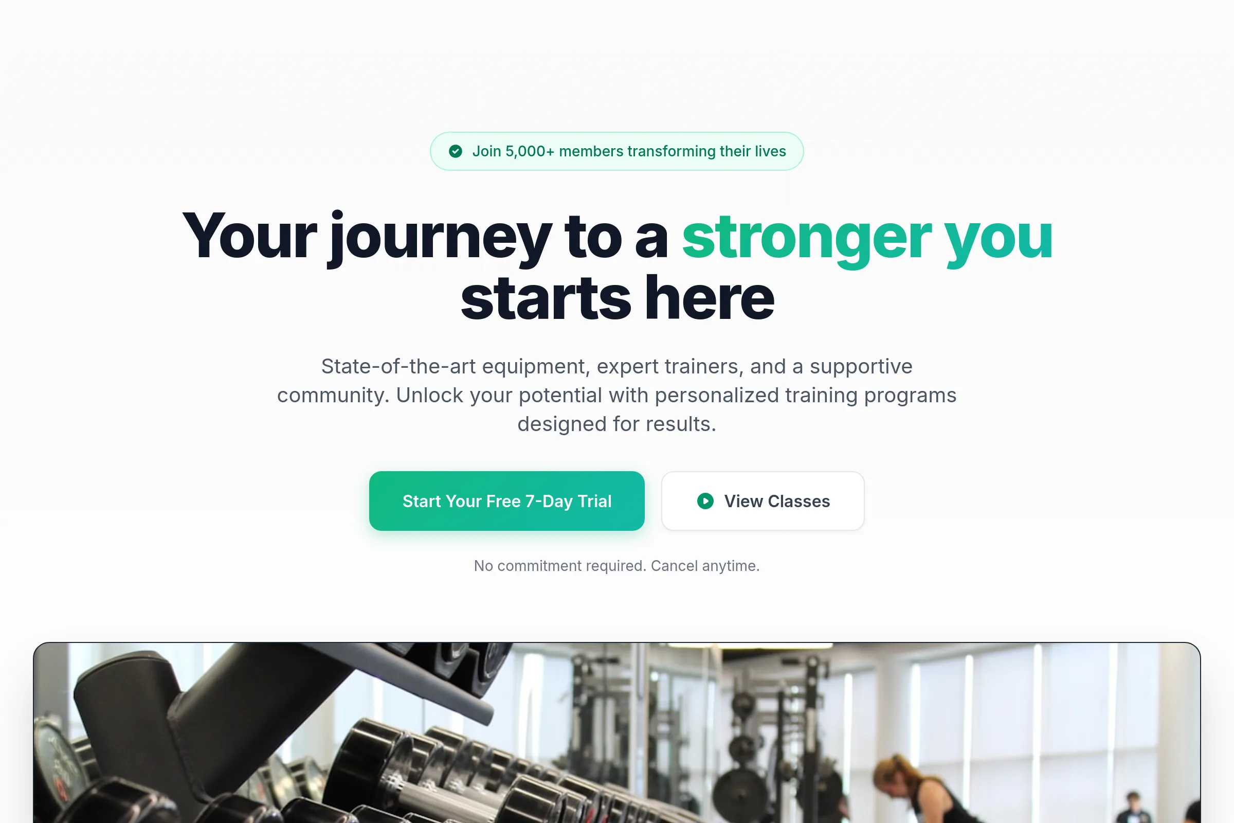Fitpulse Template