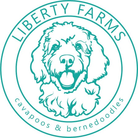 Liberty Farms Puppies