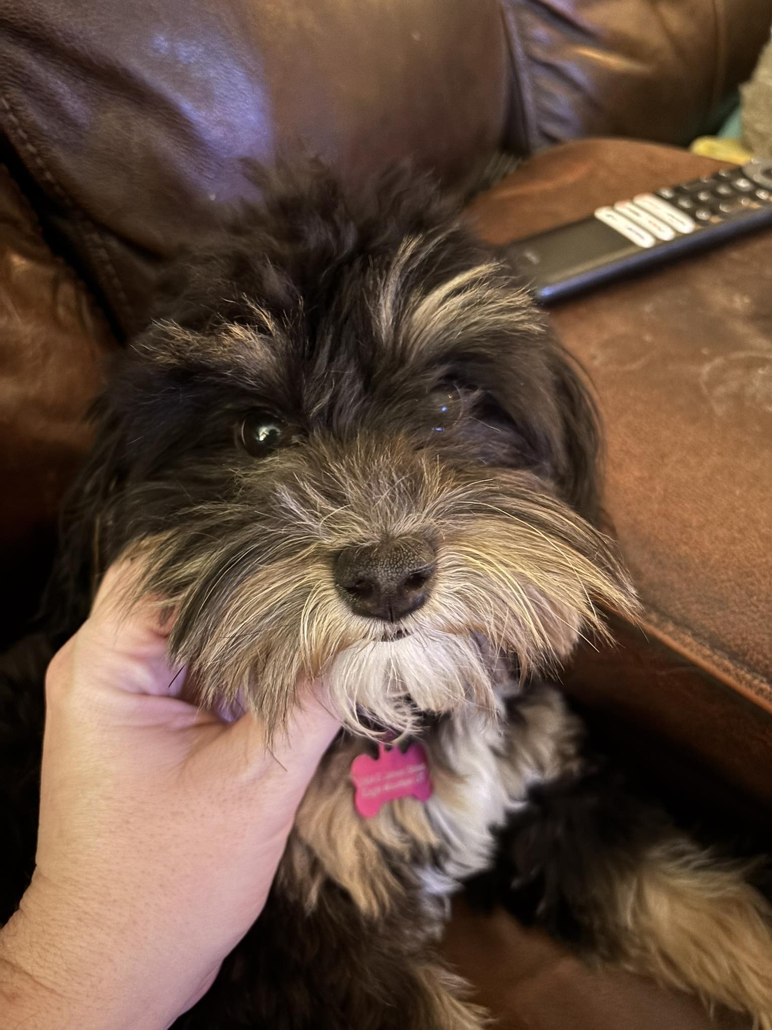 Princess