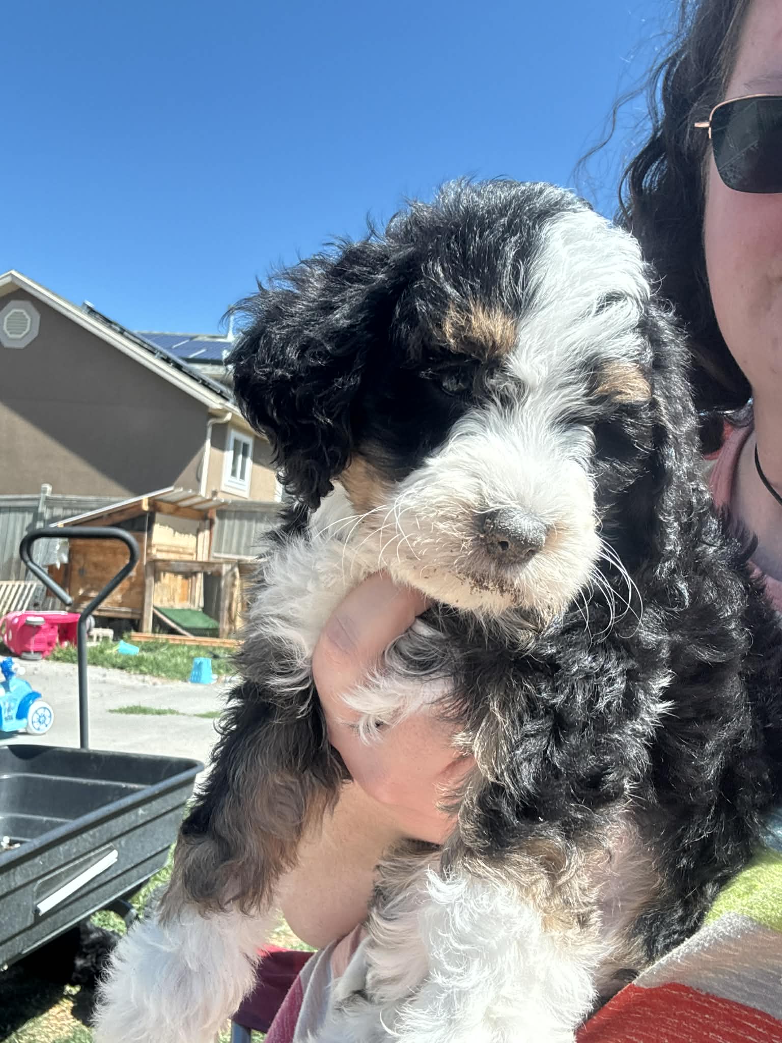 Bella