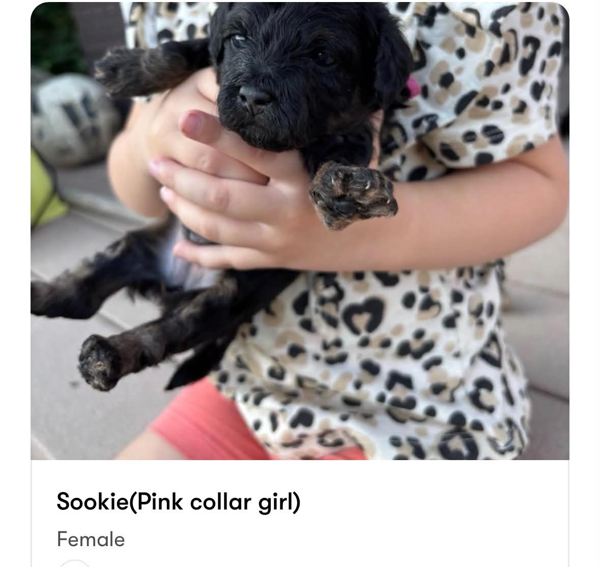 Sookie